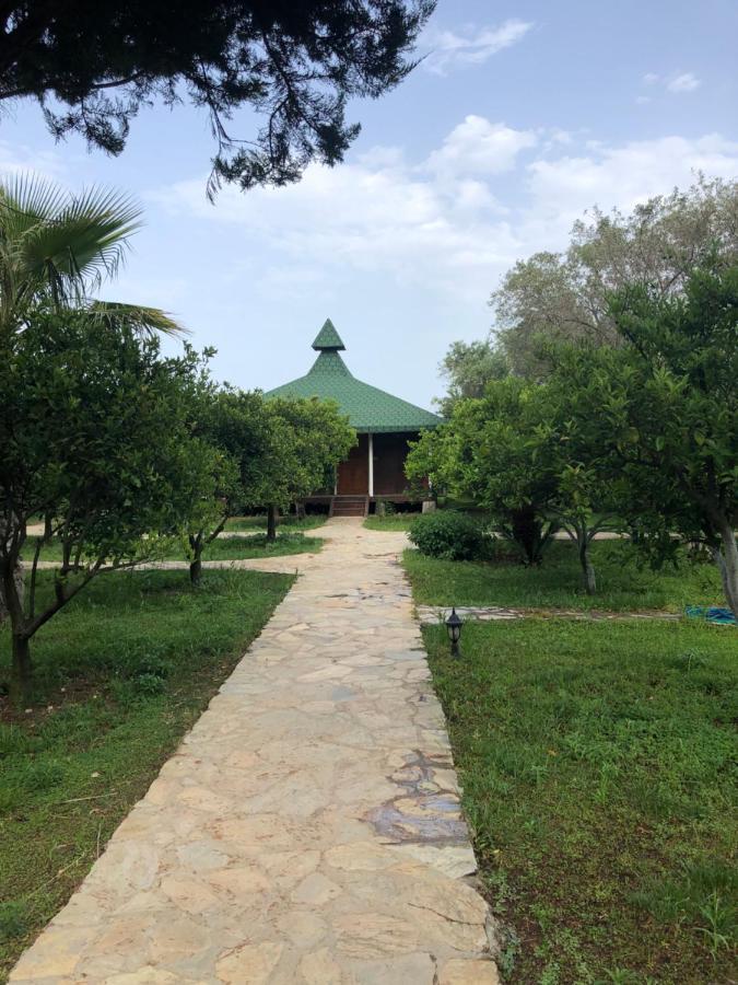 Cirali Armira Bungalow Buitenkant foto