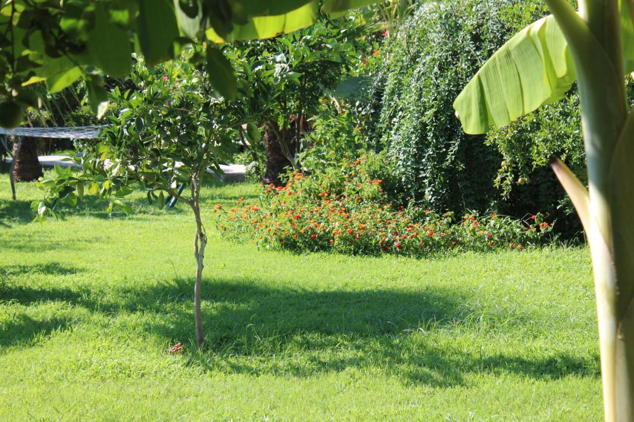 Cirali Armira Bungalow Buitenkant foto